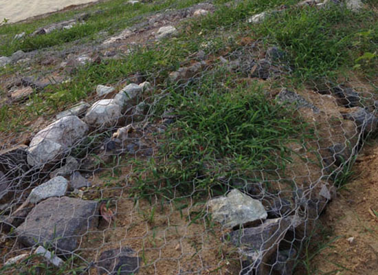 賓格網(wǎng)護墊 賓格網(wǎng)護墊