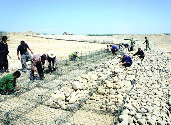 綠格網(wǎng)墊 綠格網(wǎng)墊