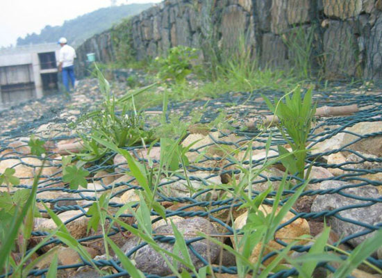 綠格網箱 綠格網箱