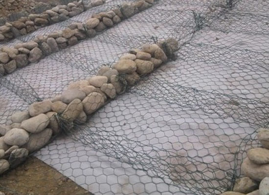 雷諾護墊 雷諾護墊