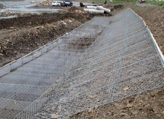 雷諾護墊 雷諾護墊