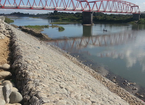 雷諾護墊 雷諾護墊