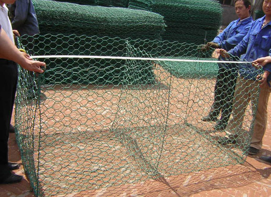 生態(tài)格網(wǎng) 生態(tài)格網(wǎng)