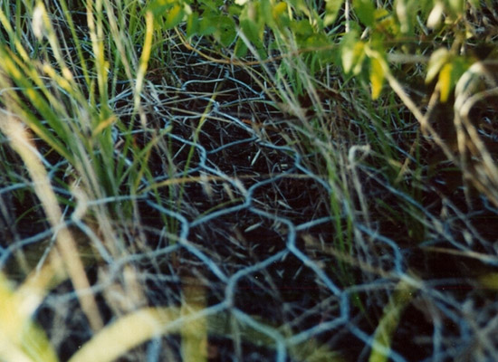 生態(tài)格網(wǎng) 生態(tài)格網(wǎng)