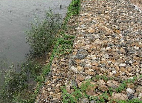 生態(tài)格網(wǎng) 生態(tài)格網(wǎng)