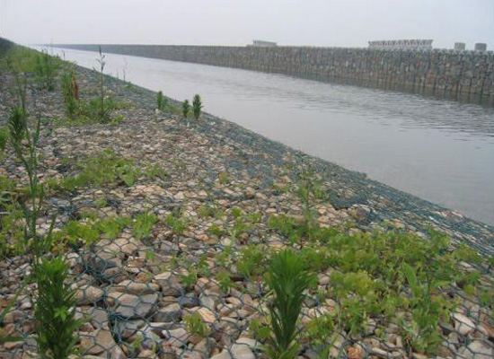 生態格網護墊 生態格網護墊